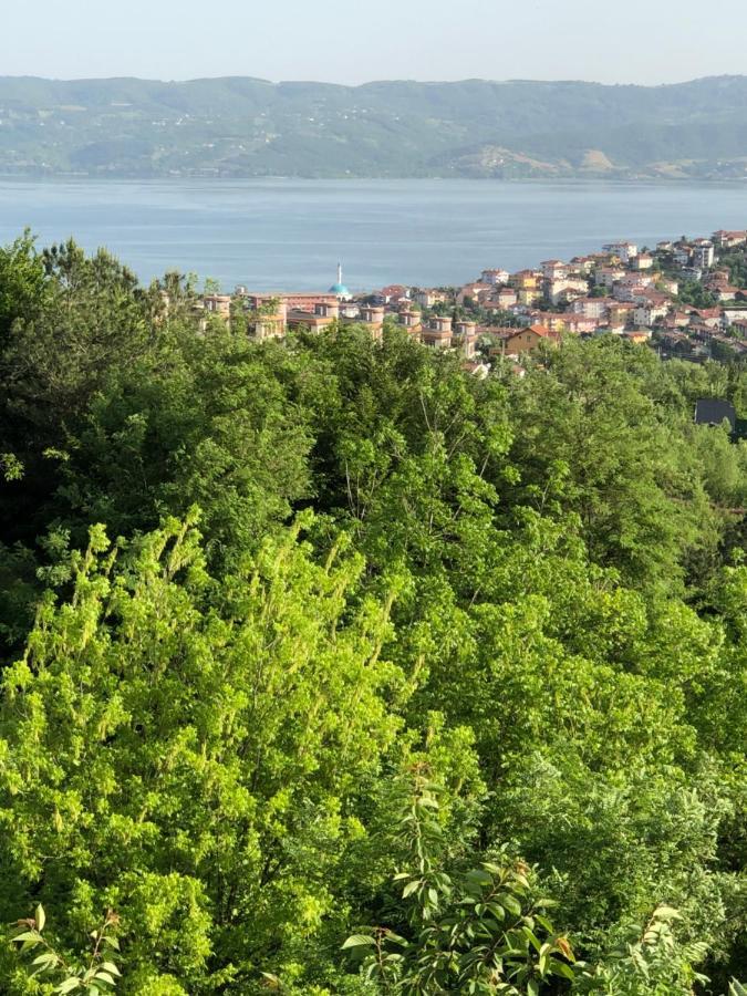 Happy Hobbit ,2 Room Jakuzi, Lake And Forest View, Fireplace ,Six Bad Сапанча Экстерьер фото